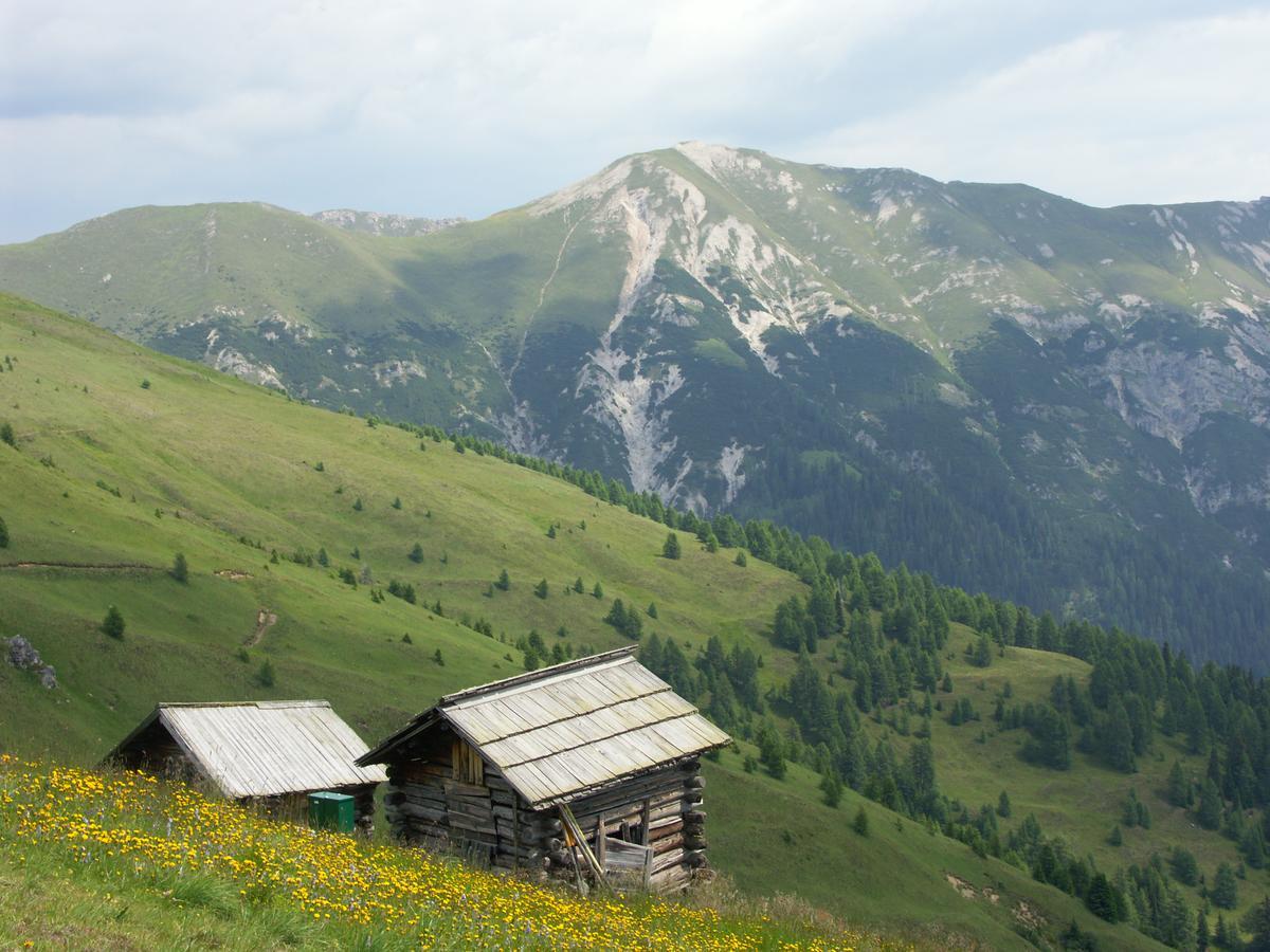 Hotel Garni Haus Anita Liesing Zewnętrze zdjęcie